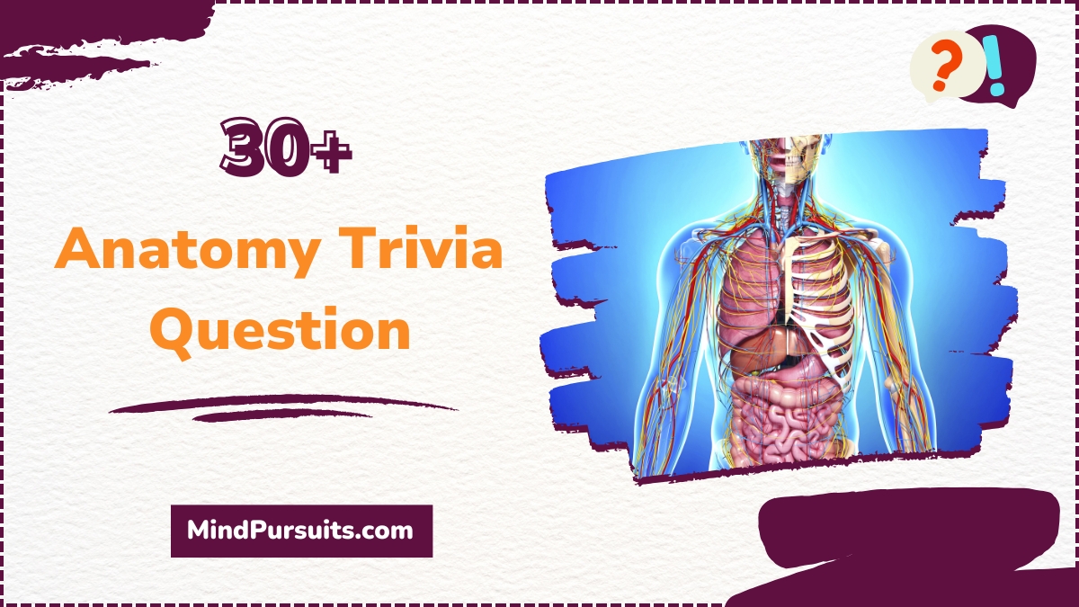 Anatomy Trivia Question