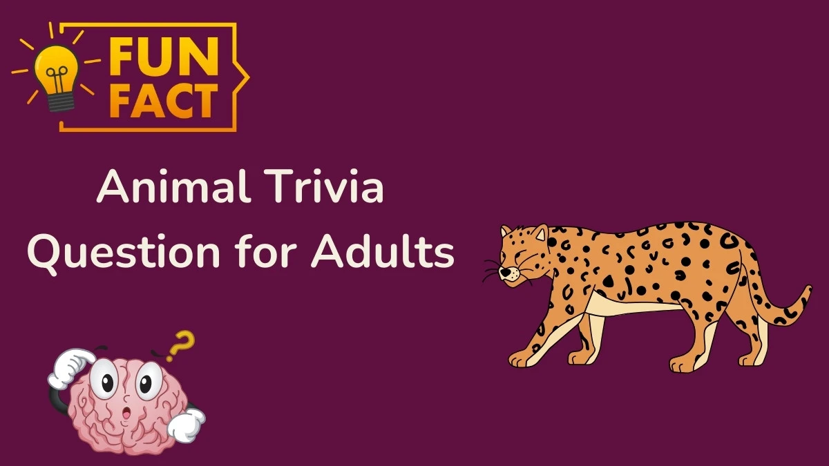 Animal Trivia Question for Adults