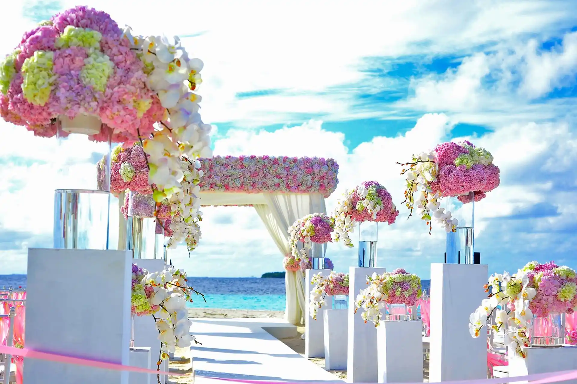 Coastal Holiday Blooms