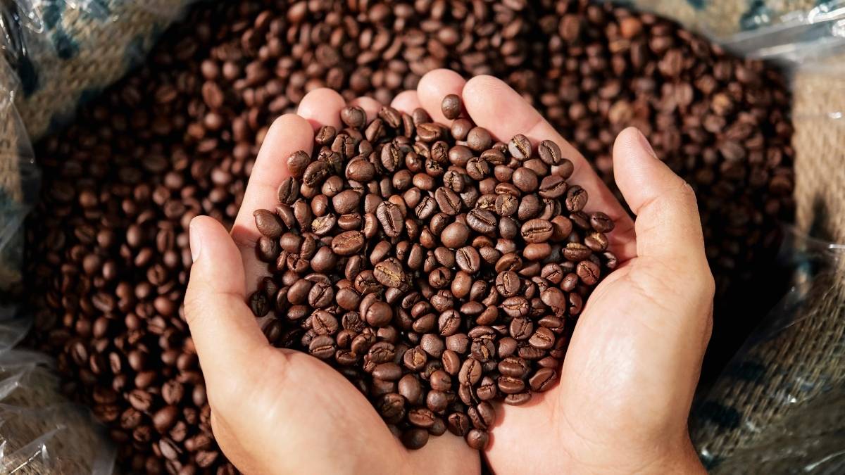 Coffee Beans