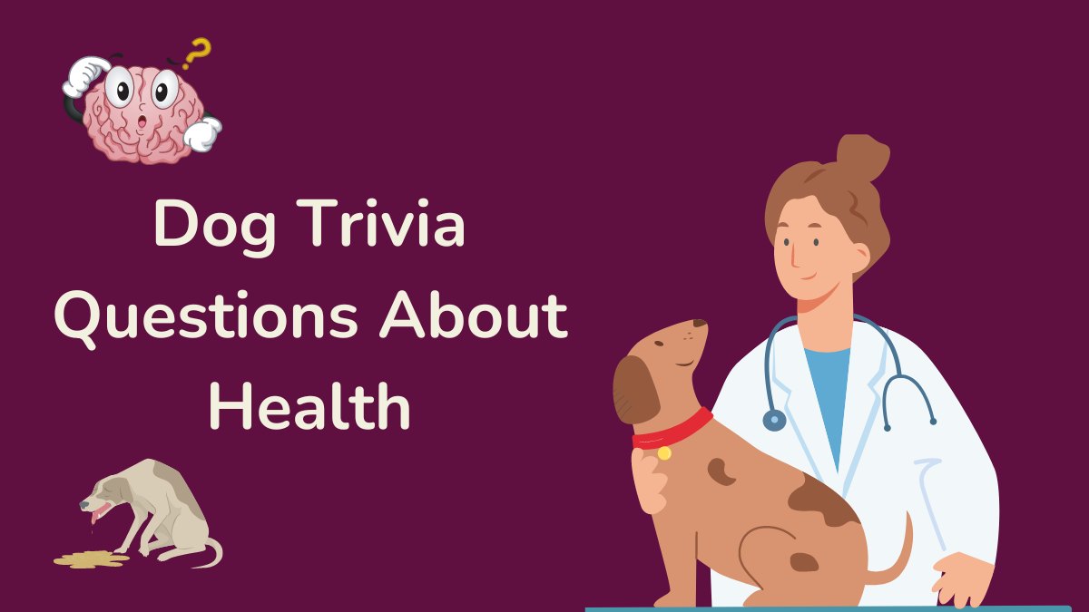 Dog Trivia Questions About Health