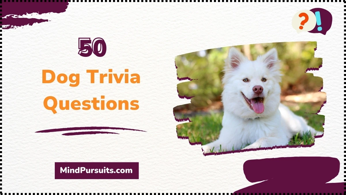 Dog Trivia Questions