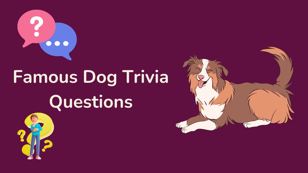 Famous Dog Trivia Questions