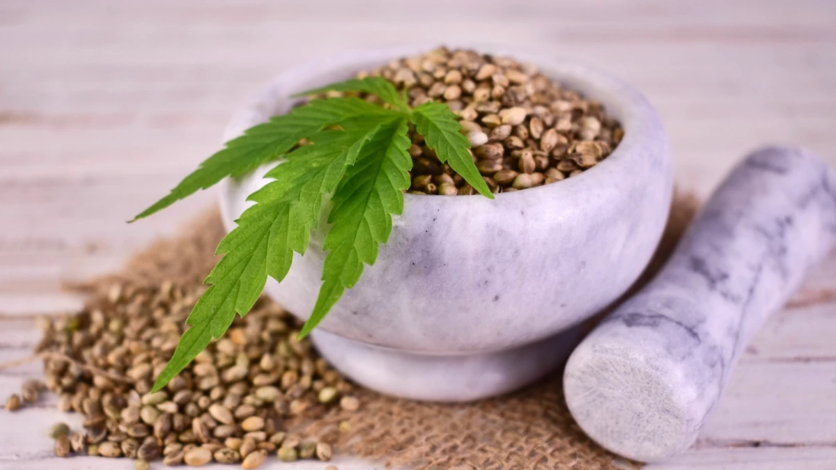 Hemp Seeds