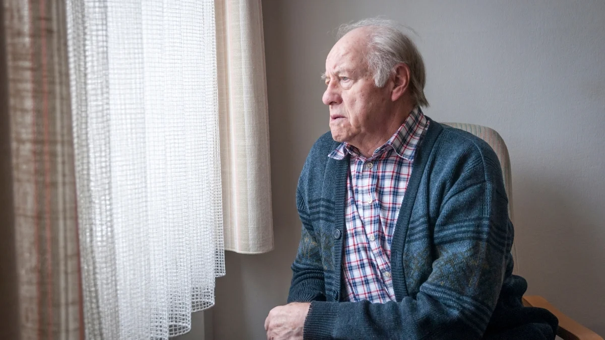  How Your Lunch Becomes Plaque