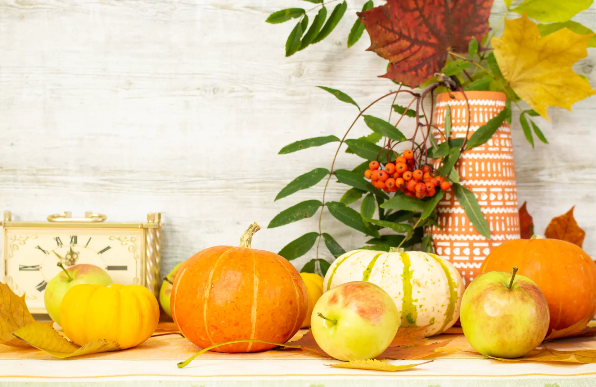 Minimalist Harvest Kitchen Countertop