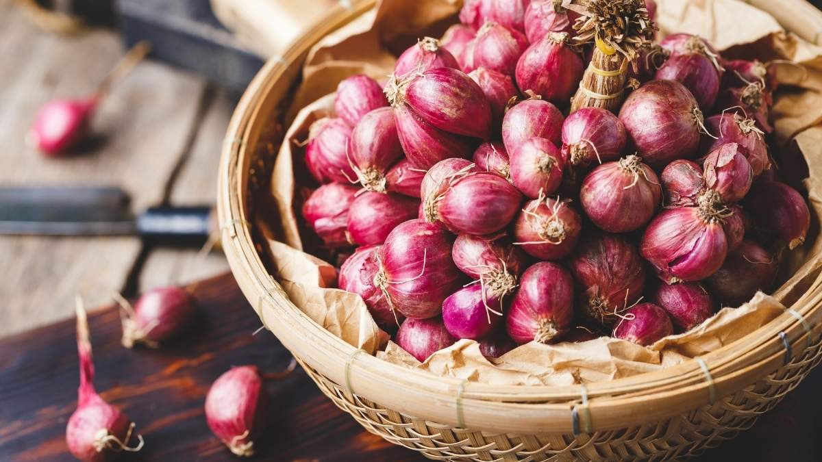 Onions Don’t Like The Fridge