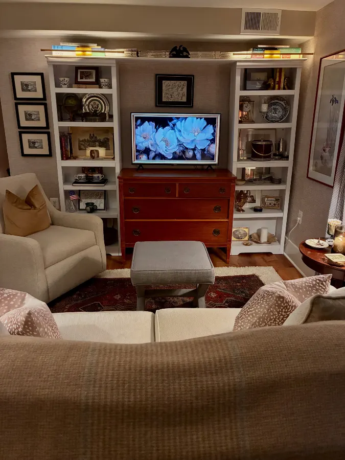 The Built-In Media Bridge